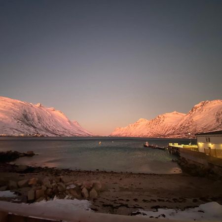 House Of Ellie Bed & Breakfast Ersfjordbotn Bagian luar foto